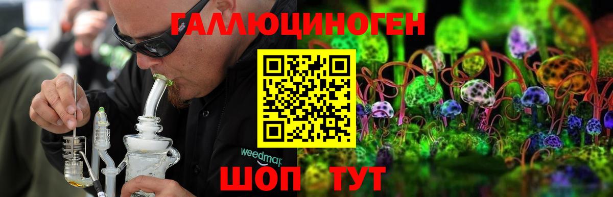 Псилоцибиновые грибы GOLDEN TEACHER  Галлюциногенные грибы мицелий  Аргун  Вход с VPN 