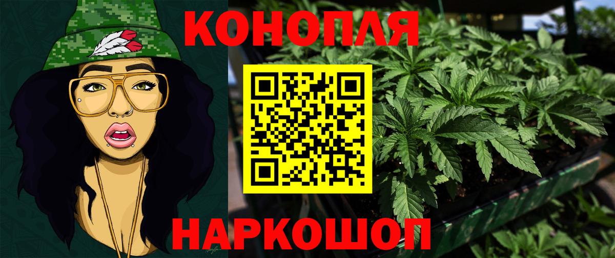 Марихуана тримм  Вход с VPN  Канабис White Widow  Аргун 
